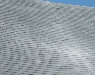 Partie tournante  (1)